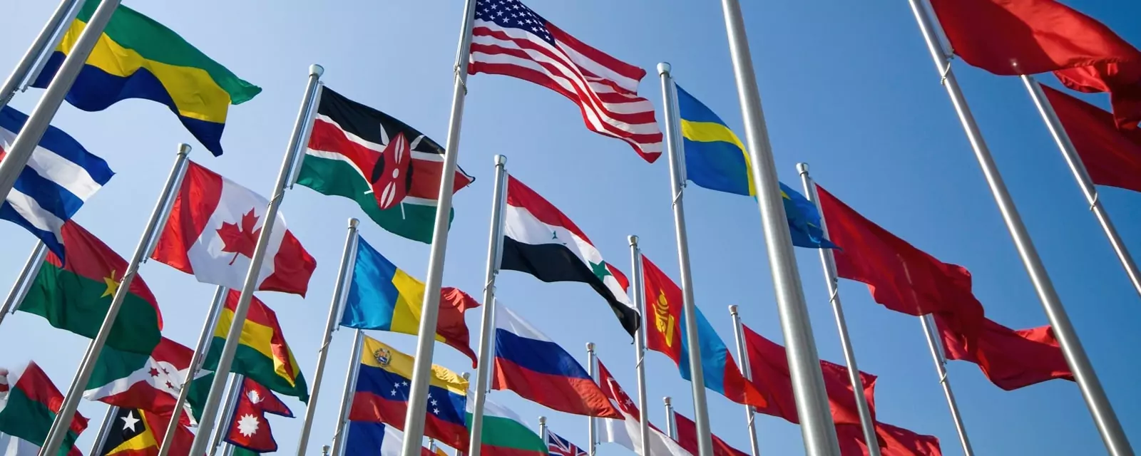 Unternehmen für ein duales Studium | Internationales Management