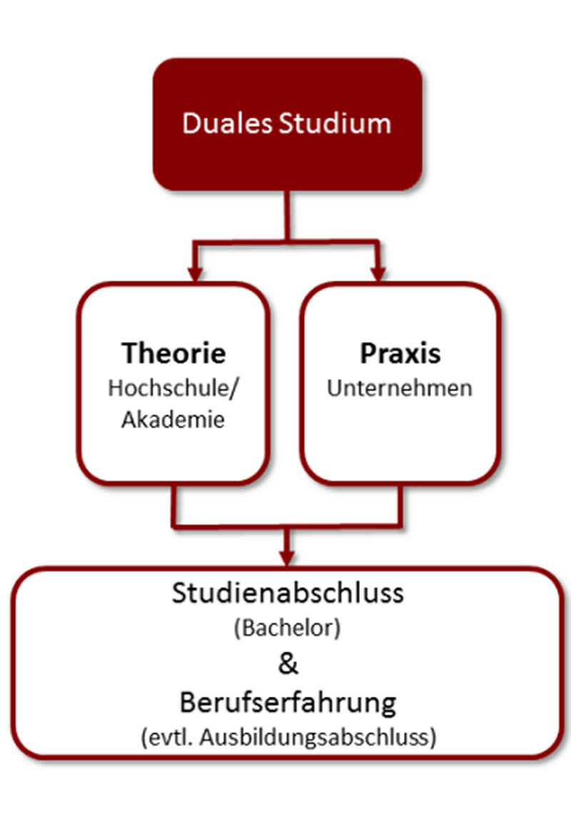Grafik über den Aufbau eines dualen Studiums