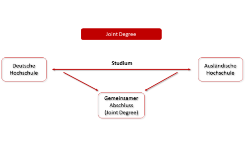 Grafik über Joint Degree