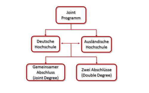 Grafik Ablauf von Joint Programmen