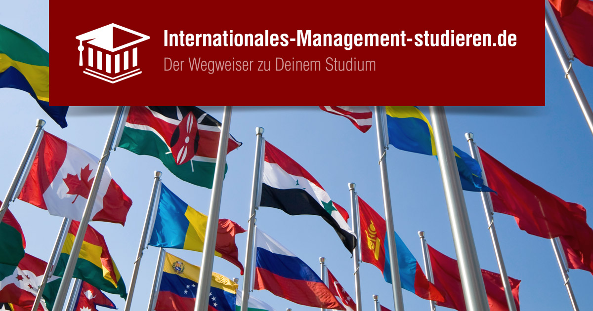 bachelor thesis themen international management