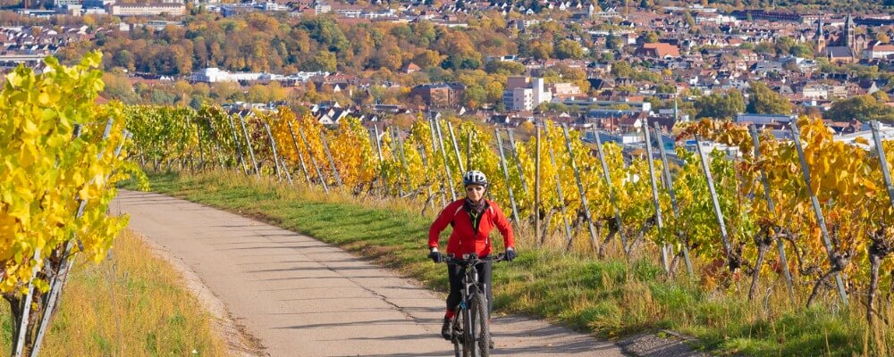 Master Internationales Marketing in Baden-Württemberg?