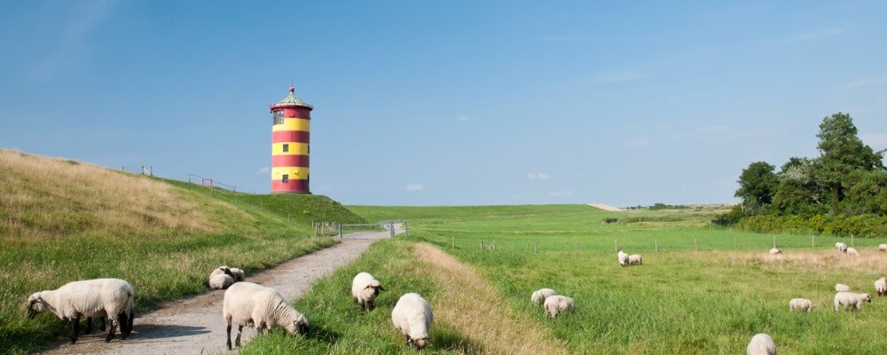 Bachelor Internationale Wirtschaft in Niedersachsen?